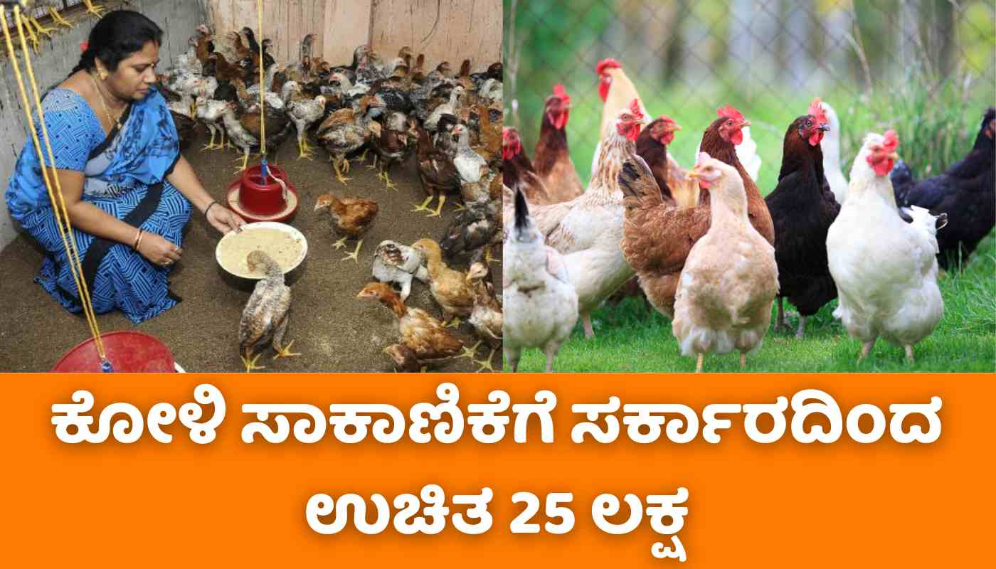 poultry farming karnataka