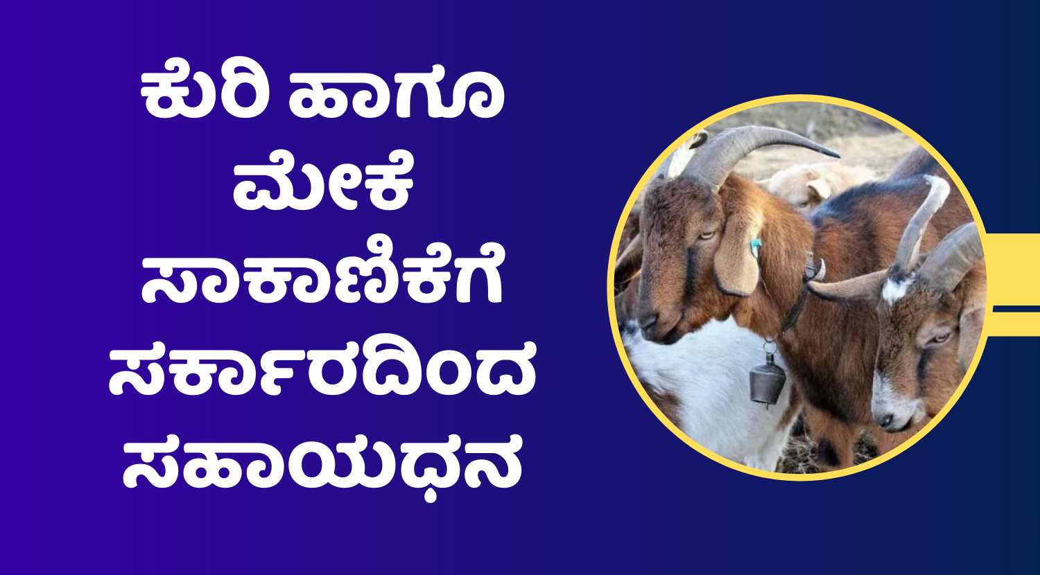 goat and sheep forming in kannada