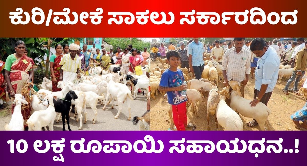 goat farming loan scheme karnataka